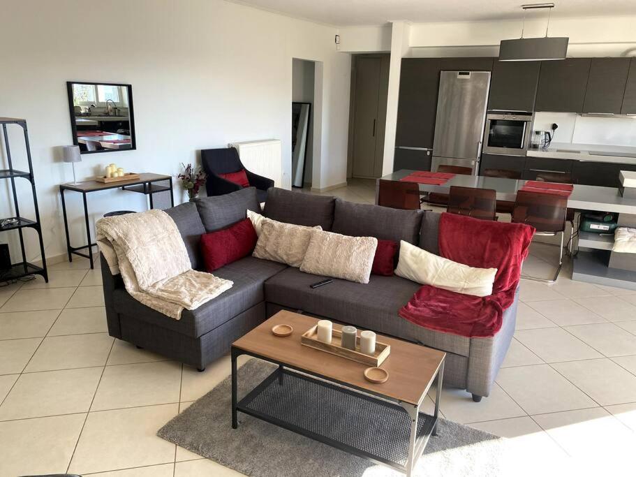 Spacious And Sunkissed 3Br & 2 Bathrooms Apartment Athènes Extérieur photo