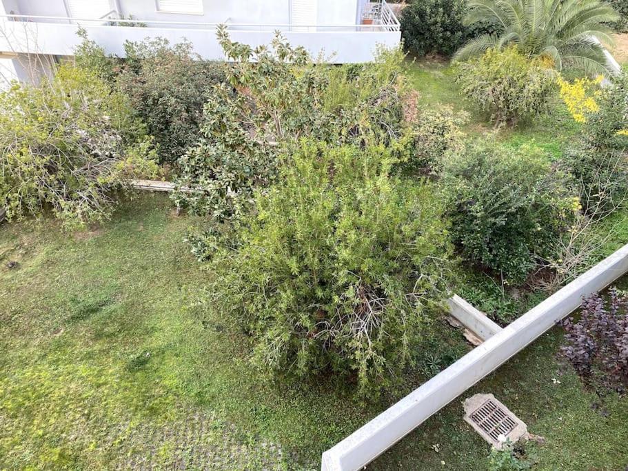 Spacious And Sunkissed 3Br & 2 Bathrooms Apartment Athènes Extérieur photo